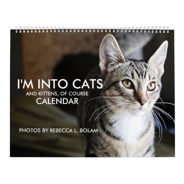 I'm Into Cats and Kittens of Course Calendar (Cover)