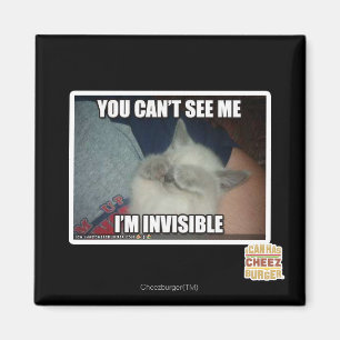I'm Invisible Magnet