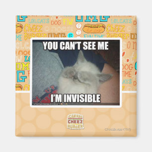 I'm Invisible Magnet