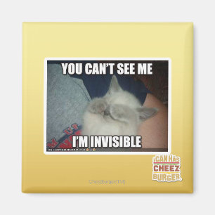I'm Invisible Magnet