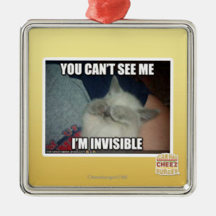 I'm Invisible Metal Ornament