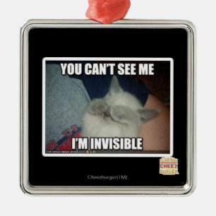 I'm Invisible Metal Ornament