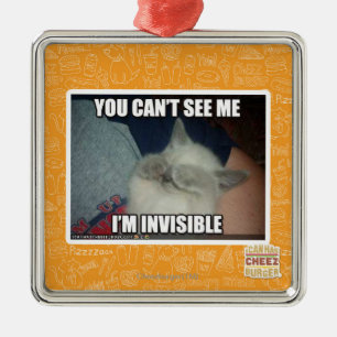 I'm Invisible Metal Ornament