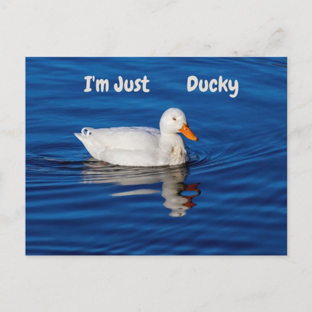 I'm Just Ducky Postcard (Front)
