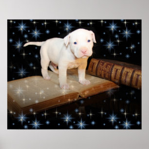 I'm Learning How To Read the Bible Poster