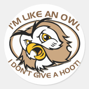 Im Like An Owl I Dont Give A Hoot Funny Saying Classic Round Sticker