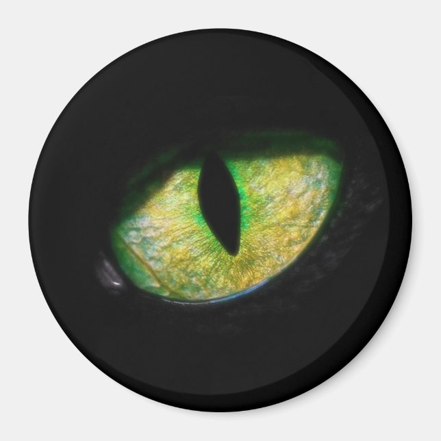 I'm looking at you magnet (Front)