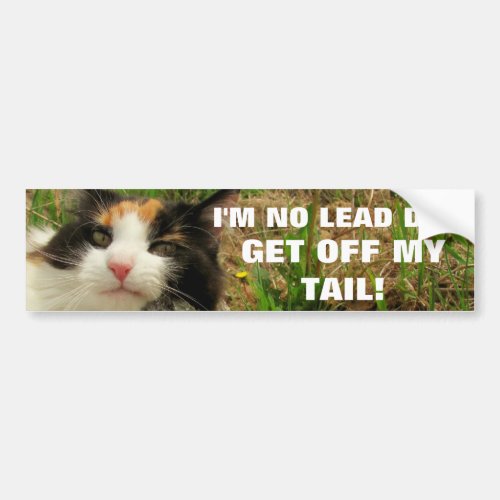 Im No Lead Dog Cat Meme Bumper Sticker