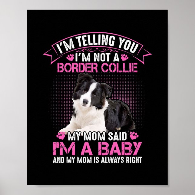 I'm Not a Border Collie My Mom Said I'm A Baby Poster (Front)