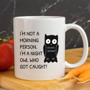 I'm Not a Morning Person Funny   Sarcastic Mug