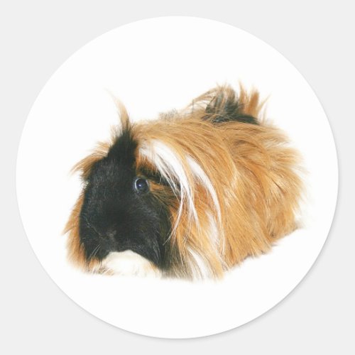 Im not a tribble classic round sticker