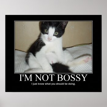 I'm Not Bossy Cat Artwork Poster by artisticcats at Zazzle