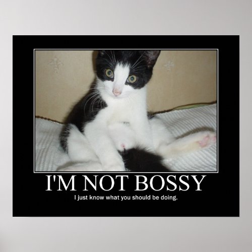 Im Not Bossy Cat Artwork Poster