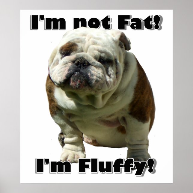 I'm not fat bulldog poster (Front)
