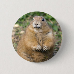 I'm Not Fat, I'm Cuddly Badge Button