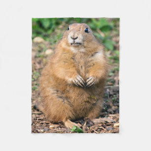I'm not Fat, I'm Cuddly Fleece Blanket