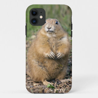 I'm not Fat, I'm Cuddly iPhone 5 Case-Mate Case