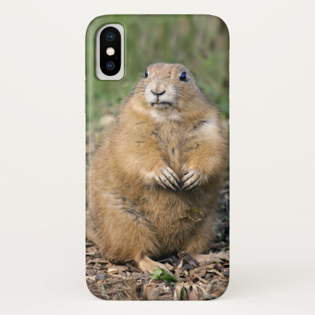 I'm not Fat, I'm Cuddly iPhone X Case (Back)