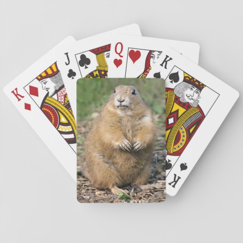 Im not Fat Im Cuddly Playing Cards