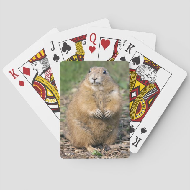 I'm not Fat, I'm Cuddly Playing Cards (Back)
