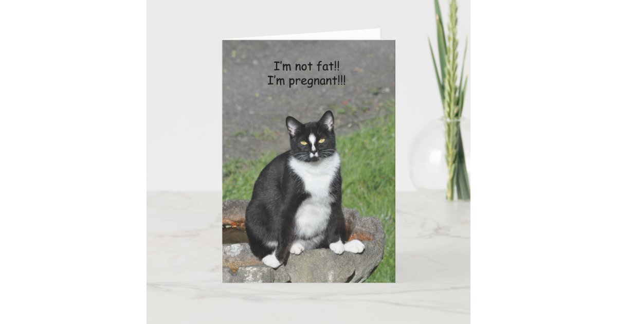 I M Not Fat I M Pregnant Humor Card Zazzle Com