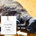I'm Not Fat, Just Fluffy Funny Dog Cat Pet ID Tag<br><div class="desc">Simple Text Typography Pet Dog Cat Funny Saying Humor Personalized ID Lost Pet ID Tag. Add your pet's name and phone number.</div>