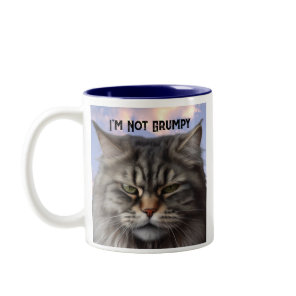 "I'm Not Grumpy" Cat Mug with Sarcastic design Mug