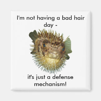 I'm not having a bad hair day - magnet