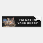 I&#39;m Not In Your Hurry Cat Meme Bumper Sticker at Zazzle