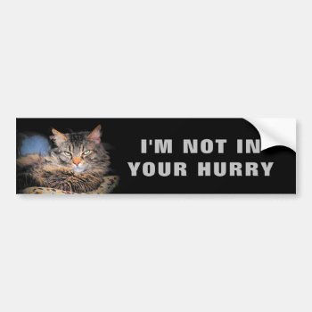 I'm Not In Your Hurry Cat Meme Bumper Sticker by talkingbumpers at Zazzle