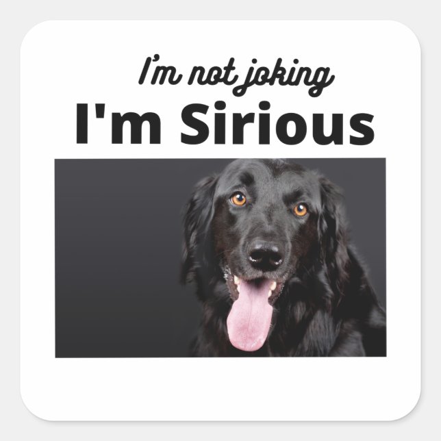 I'm not Joking, I'm Sirious Square Sticker (Front)