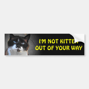 I'm Not Kitten Out of Your Way Bumper Sticker