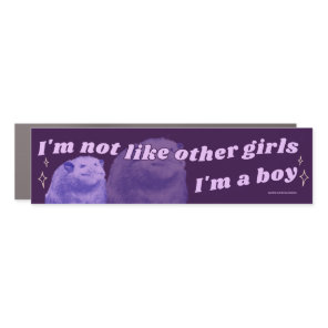 I'm not like other girls I'm a boy, possum funny Car Magnet