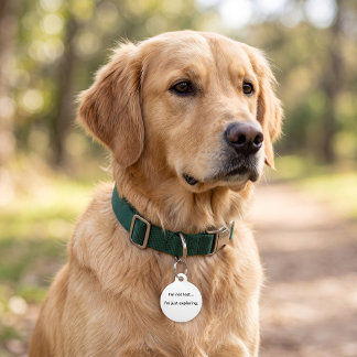 I'm Not Lost I'm Just Exploring Pet ID Tag