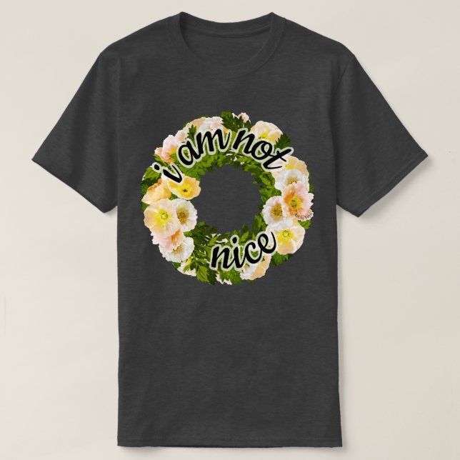 Im not nice T-Shirt (Design Front)