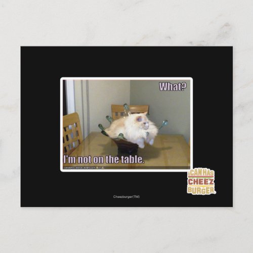 Im not on the table postcard