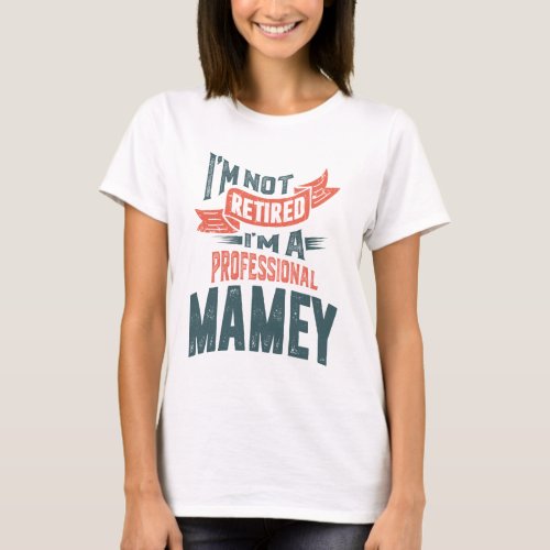 Im Not Retired Im a Professional Mamey T_Shirt