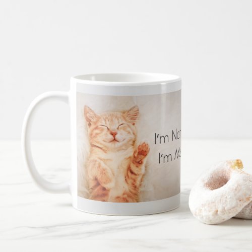 Im Not Sleeping Im Meditating Funny Kitten Coffee Mug