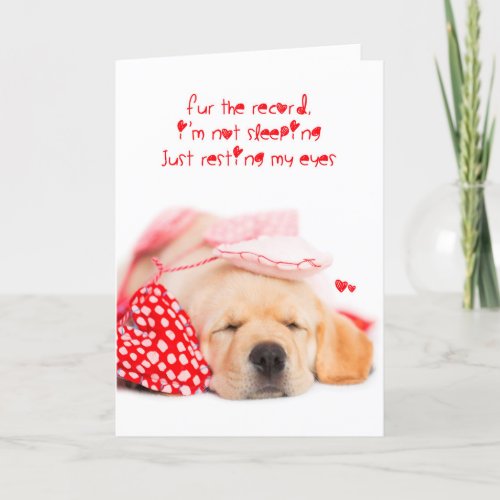 im not sleeping yellow lab puppy valentine holiday card