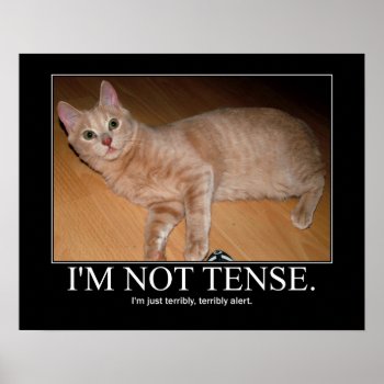 I'm Not Tense Cat Artwork Poster by artisticcats at Zazzle