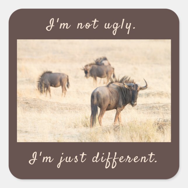 I'm not ugly wildebeest photo with text square sticker (Front)