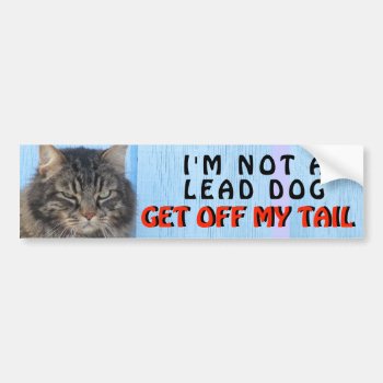 I'm Not Your Lead Dog  Cat Meme Bumper Sticker by talkingbumpers at Zazzle