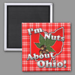 I'm Nuts About Ohio, Funny Red Buckeye Nut Magnet