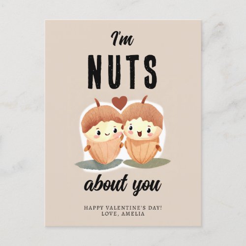 Im Nuts about you Funny Cute Valentines Day  Holiday Postcard