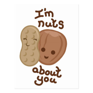 Nuts About You Postcards | Zazzle
