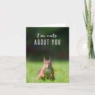 I'm nuts about you Squirrel Modern Funny Fluffy Card