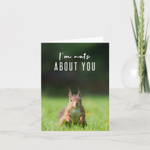 Im nuts about you  Squirrel Modern Funny Fluffy Card