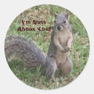 I'm Nuts About You Sticker