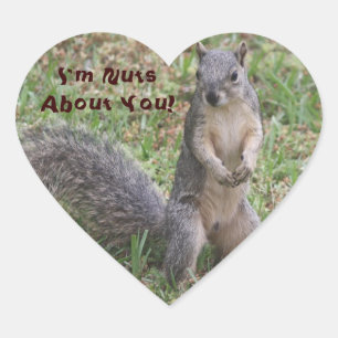I'm Nuts About You Sticker