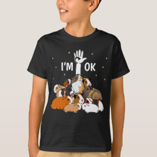 I'm Ok Funny Guinea Pigs Lover T-Shirt